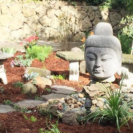 Serene Charming Private Suite Patio, Upscale Berkeley Exterior photo