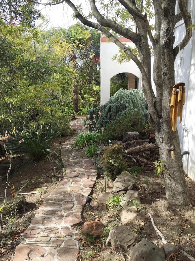 Serene Charming Private Suite Patio, Upscale Berkeley Exterior photo