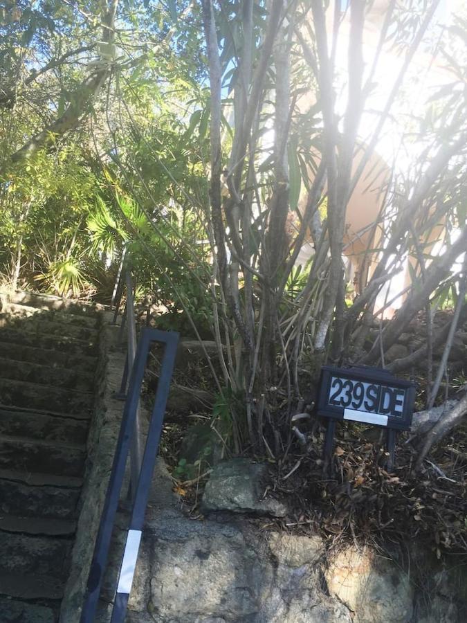 Serene Charming Private Suite Patio, Upscale Berkeley Exterior photo