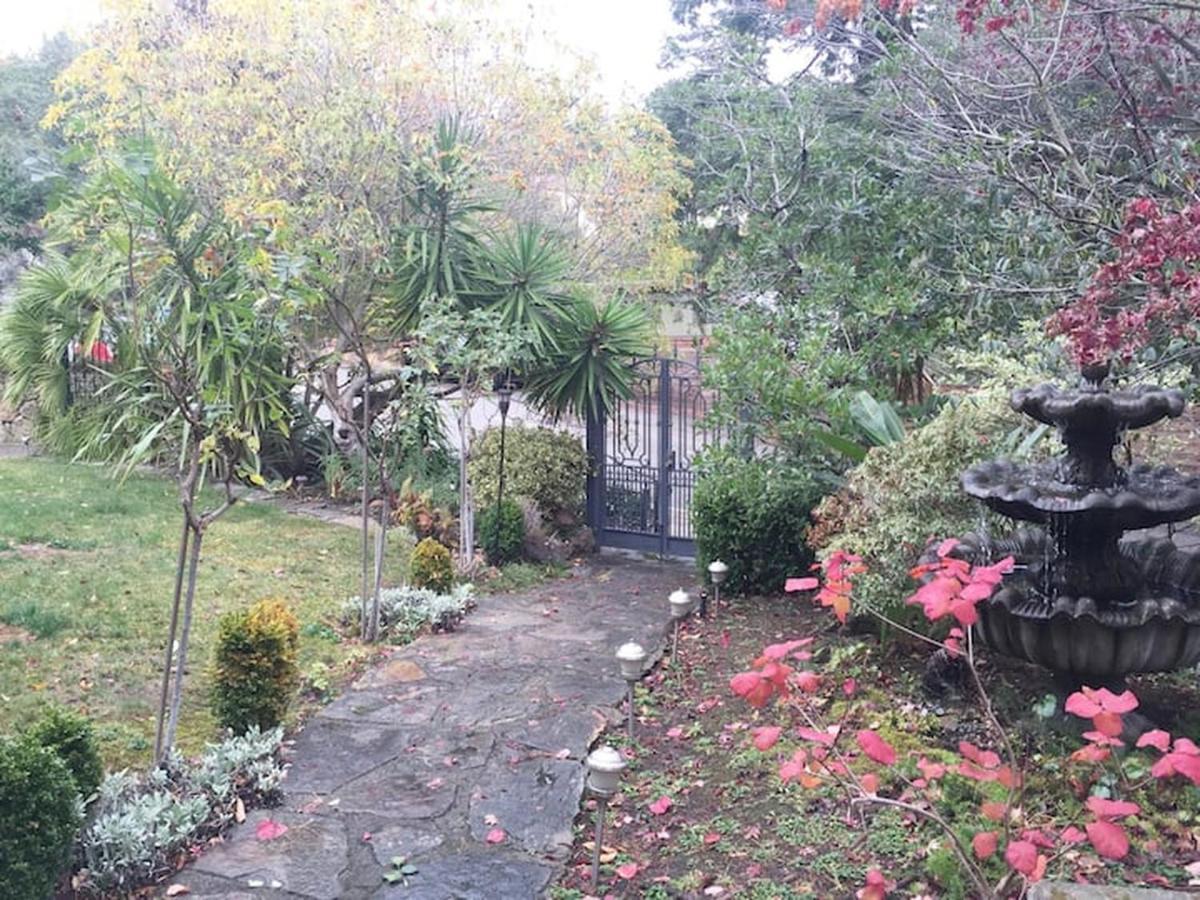 Serene Charming Private Suite Patio, Upscale Berkeley Exterior photo